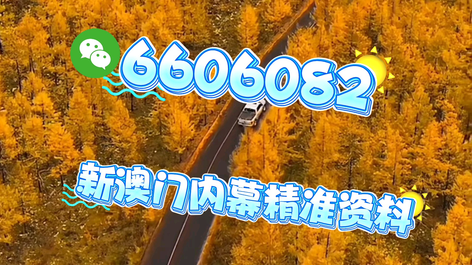 新澳門一肖一碼中恃馬，探索與解析，澳門一肖一碼中恃馬，探索與解析