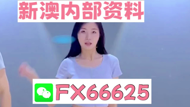 新澳門(mén)精準(zhǔn)資料大全——管家婆料解析與探索，澳門(mén)精準(zhǔn)資料大全，管家婆料解析與深度探索